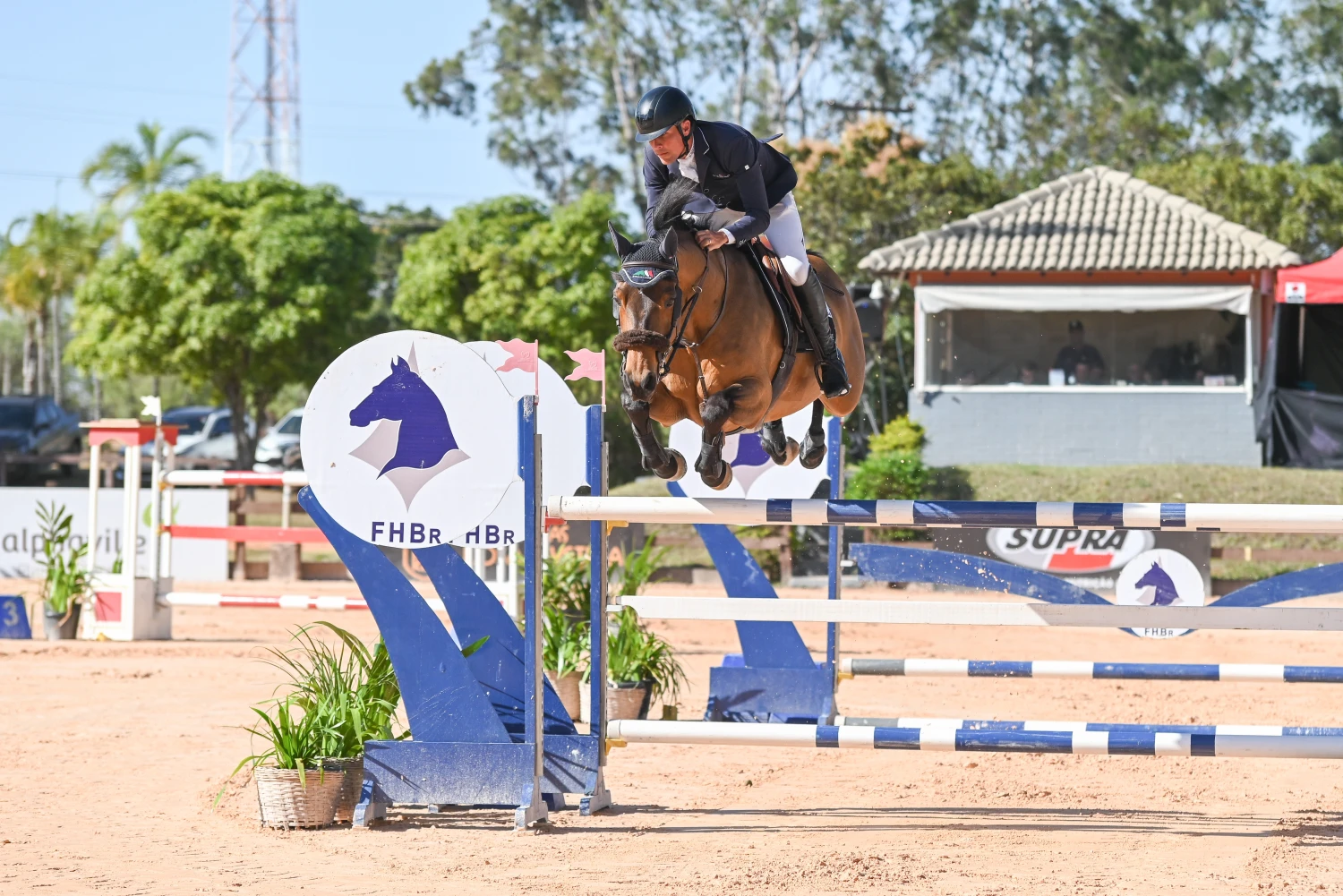 <h4 style="color: #b98335;">Hípica Renomada e Formação<br></h4>
Nossa renomada hípica oferece estrutura completa para equitação, com baias, piquetes e redondéis. Aulas para todas as idades e níveis, desde a iniciação até o aprimoramento, promovendo a conexão com os cavalos e a prática de um esporte elegante e desafiador.